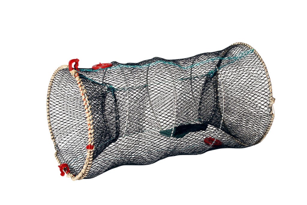 Carapax Aterforsaljare (återförsäljare Detta, äkta produkter, återförsäljare Detta garanterar, auktoriserad återförsäljare, auktoriserad carapax) Carapax Aterforsaljare