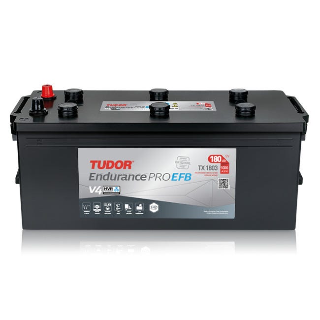 Bilbatterier Tudor